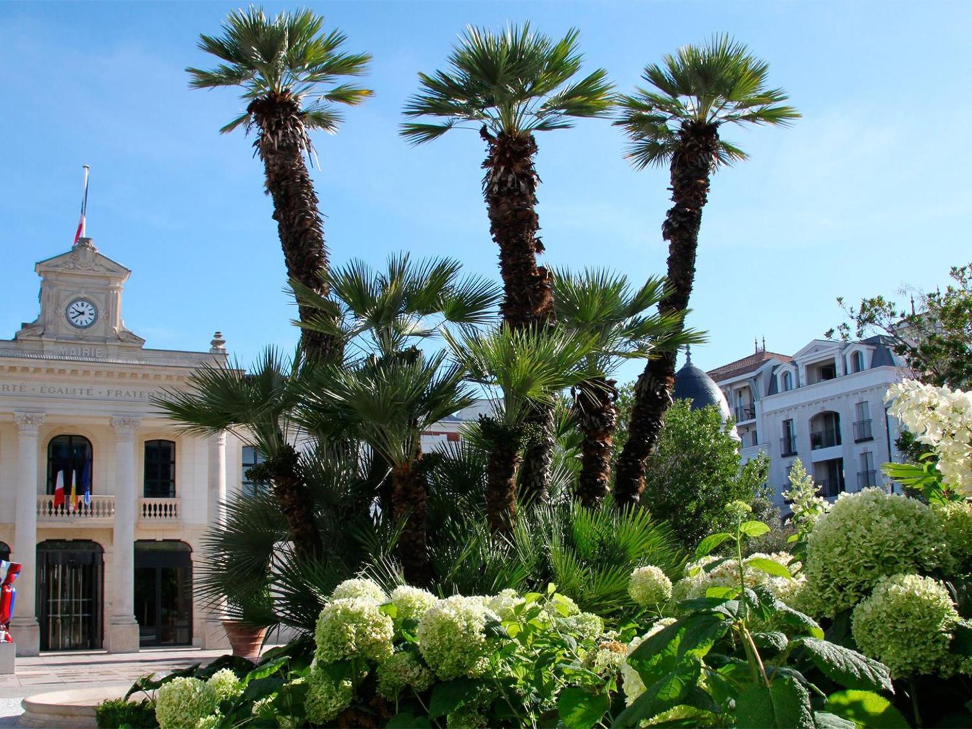Appartement Proche Plage & Casino Avec Balcon Et Parking Prive, Arcachon - Fr-1-319-110 ภายนอก รูปภาพ